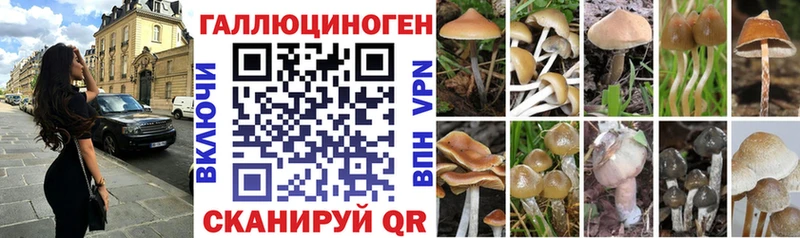 где можно купить наркотик  Сегежа  Галлюциногенные грибы Magic Shrooms 
